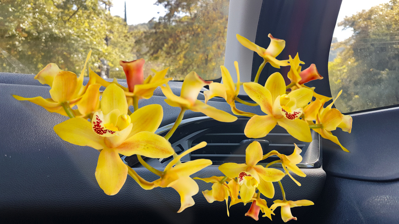 Klimaanlage im Auto, aus der animierte gelbe Blumen herauskommen